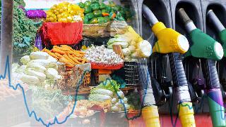 Данные об уровнях цен и тарифов на важнейшие товары и услуги, сложившихся в Краснодарском крае по состоянию на 30 сентября 2025 года